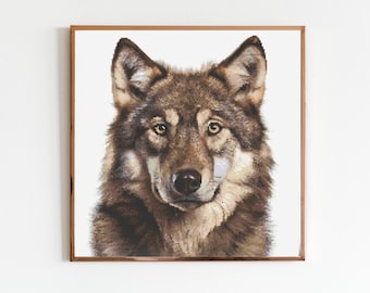 May include: A close-up portrait of a wolf with brown fur and piercing yellow eyes. The wolf is looking directly at the viewer with a serious expression.