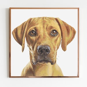 Yellow Labrador Cross Stitch Pattern Sewing Embroidery DMC Wildlife Africa Animal Nursery Artwork Scandi Doggo Minimal Dog Pet Gift