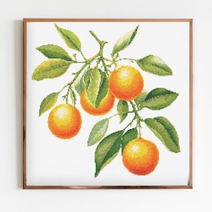 Orangen Blumen Kreuzstich Nähen Moderne Stickerei Muster DMC Download Blumenstrauß Anfänger