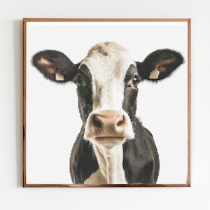 May include: A close-up portrait of a black and white cow with a white face and large brown eyes. The cow is looking directly at the camera.
