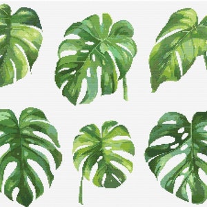 Monstera Blätter Botanische Kreuzstich Nähen Moderne Stickerei Muster DMC Download Blumenstrauß Anfänger B Sukkulenten Geschenk