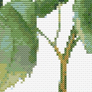 Blue Hydrangea Botanical Cross Stitch Sewing Modern Embroidery Pattern Instant DMC Download Bunch of Flowers Beginner Garden Plants Botanist image 3