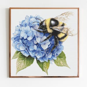 Könnte beinhalten: Eine Hummel sitzt auf einem Blütenstand von blauen Hortensien. Die Biene hat schwarze und gelbe Streifen und ist scharf gestellt. Die Hortensienblüten sind hellblau und unscharf.