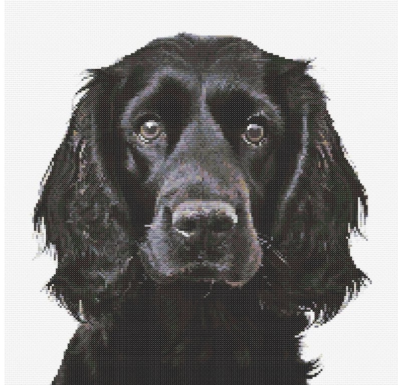 Black Cocker Spaniel Dog Cross Stitch Pattern Sewing Embroidery DMC ...