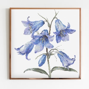 Bluebell botanische kruissteek naaien modern borduurpatroon Instant DMC download bos bloemen voor beginners