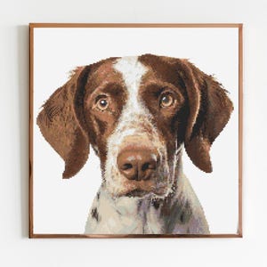 May include: A close-up portrait of a brown and white dog with brown eyes. The dog is looking directly at the camera.