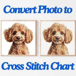 May include: Two framed images of a brown poodle dog, one image is a photo and the other is a cross stitch pattern. The text "Convert Photo to Cross Stitch Chart" is below the images.