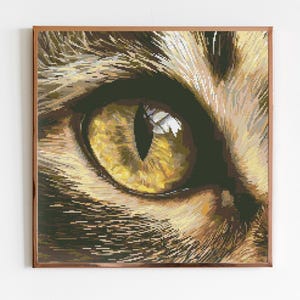 May include: A framed cross-stitch artwork showing a close-up of a cat's eye. The eye is a bright yellow with a dark, vertical pupil. The fur around the eye is brown and tan, with detailed stitching.