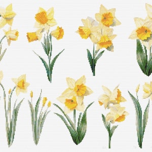 Narciso Flores Silvestres Botânico Ponto Cruz Costura Moderno Padrão de Bordado Instantâneo DMC Download Buquê de Flores Iniciante