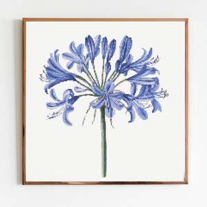May include: A framed print featuring a detailed cross-stitch of a blue Agapanthus flower. The flower has multiple petals and a green stem, set against a white background. The frame is a warm brown color.