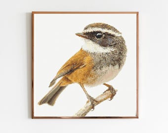 May include: A framed print of a small bird with brown, gray, and white feathers perched on a branch. The bird has a dark eye and a light-colored beak. The frame is a warm brown color. The background is white.