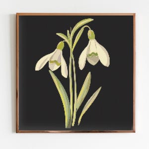 Schneeglöckchen Botanische Kreuzstich Stickdatei Modernes Stickmuster DMC Download Blumenstrauß Garten Pflanzen Botaniker Geschenk Schneeglöckchen