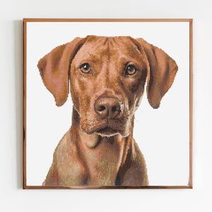 Red Labrador Cross Stitch Pattern Sewing Embroidery DMC Wildlife Africa Animal Nursery Artwork Scandi Doggo Minimal Dog Pet Gift