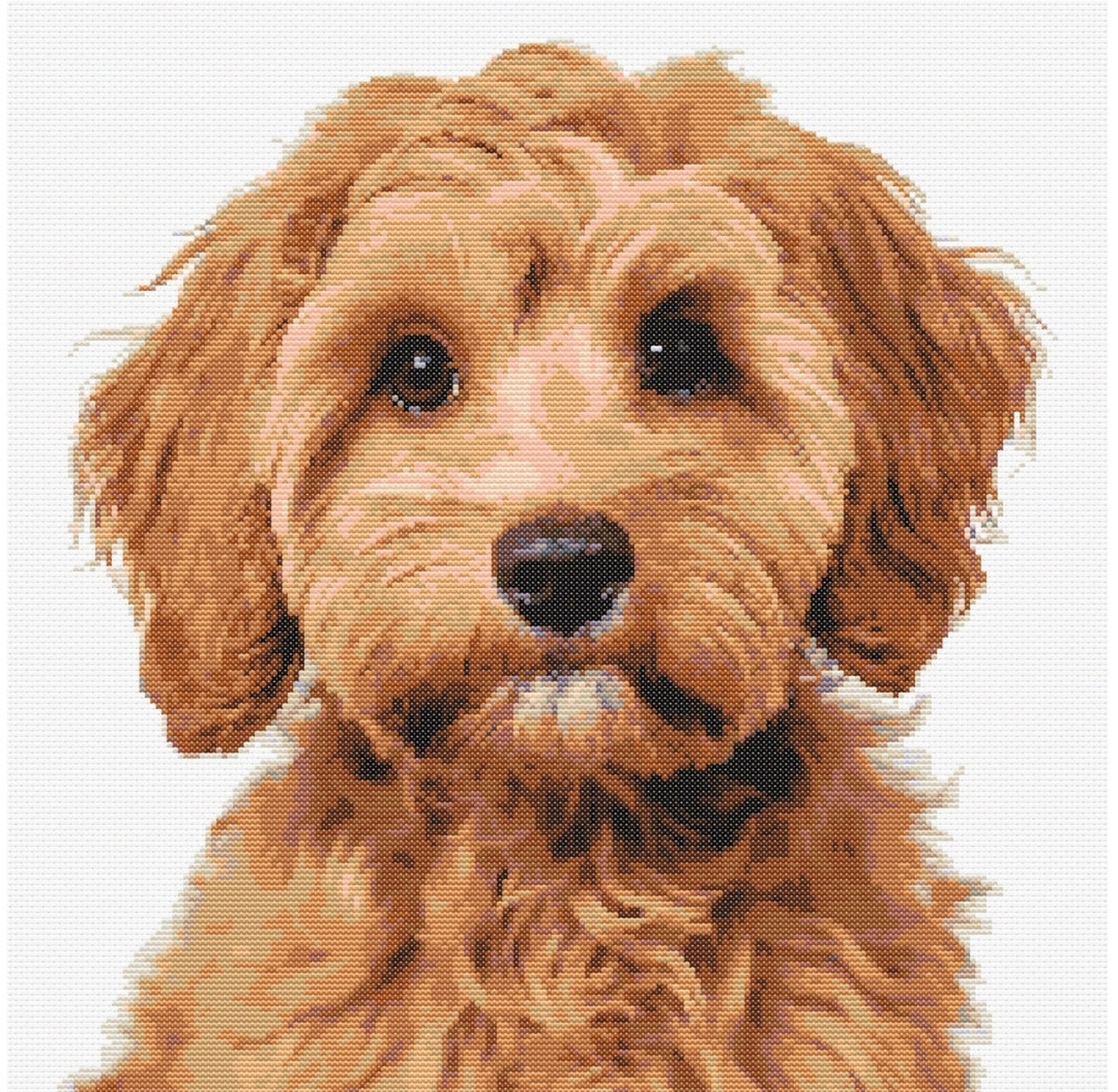 Cavapoo Dog Cross Stitch Pattern Sewing Embroidery DMC Wildlife Africa ...