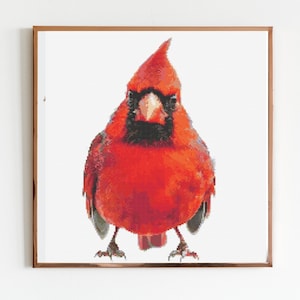 Red Cardinal Cross Stitch Sewing Embroidery Pattern Instant DMC Download Bird Farmyard Woodland Garden Birds Red