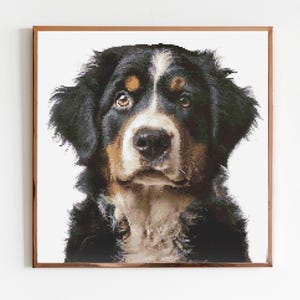 Berner Sennenhund Kreuzstich Stickmuster Nähen Stickerei DMC Wildtiere Afrika Tier Kinderzimmer Kunstwerk Scandi Doggo Minimal Hund Haustier Geschenk