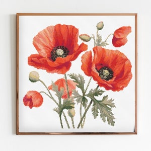 Klaproos kruissteek naaien modern borduurpatroon Instant DMC download bos bloemen beginner Poppy B