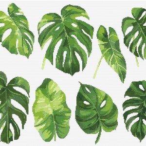 Monstera Blätter Botanische Kreuzstich Nähen Moderne Stickerei Muster DMC Download Blumenstrauß Anfänger