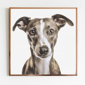 May include: A framed portrait of a brown and white dog with a white stripe down its nose. The dog is looking directly at the camera with a curious expression.