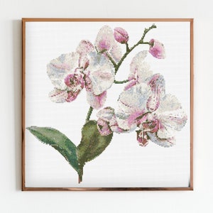 Orquídea Botânica Ponto Cruz Costura Moderno Bordado Padrão Instantâneo DMC Buquê de Flores Iniciante Rosa Branco