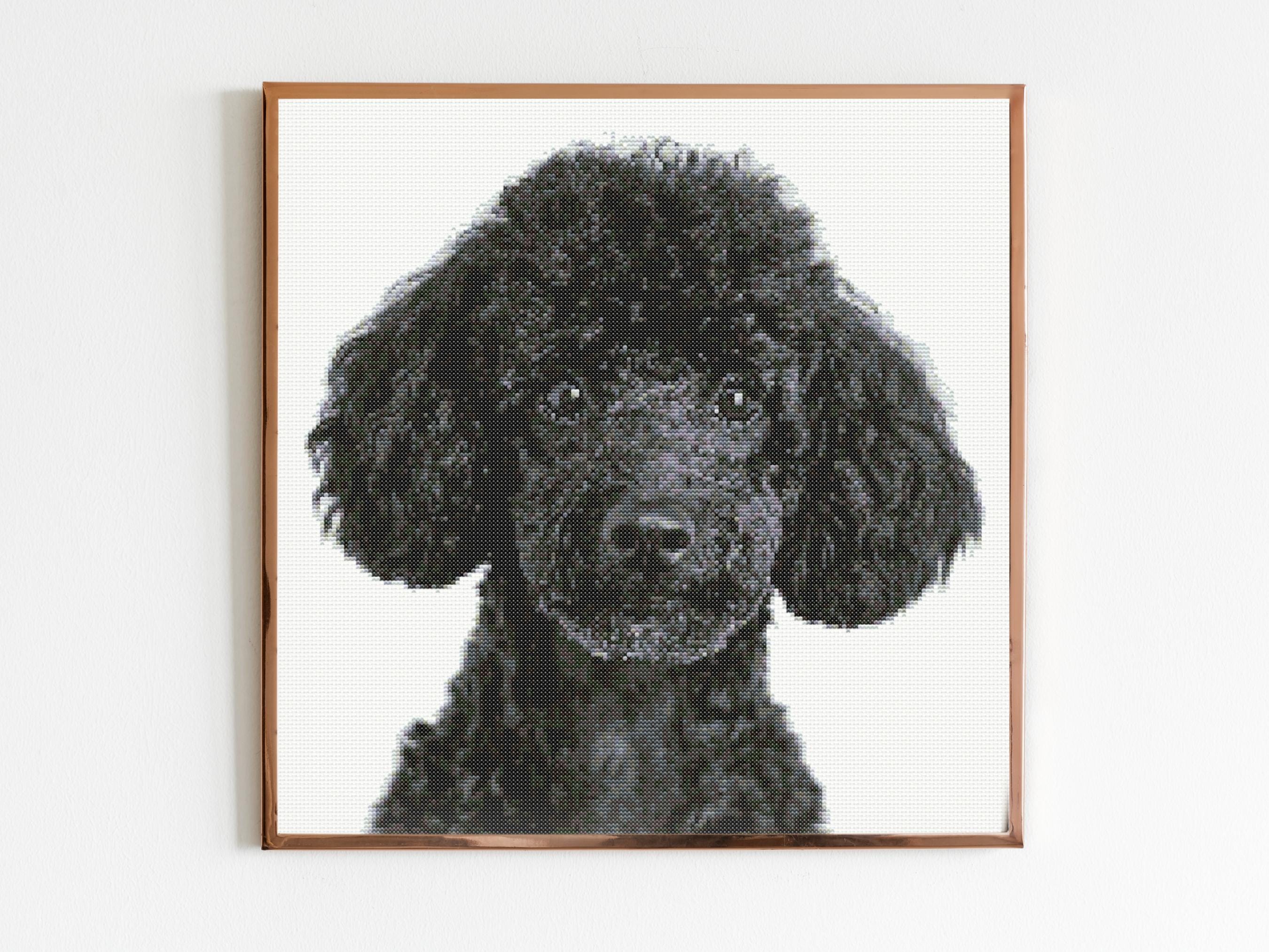 ブラックプードル犬クロスステッチパターン縫製刺繍DMC野生動物