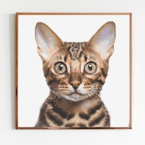 Puede incluir: Un retrato de cerca de un gato atigrado marrón con ojos verdes. El gato está mirando directamente a la cámara con una expresión curiosa.