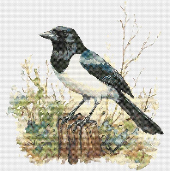 Magpie in a Woodland Clearing Bird Cross Stitch Sewing Embroidery