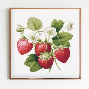 Erdbeeren botanische Kreuzstich nähe moderne Stickerei Muster Instant DMC Download Blumenstrauß Anfänger Erdbeere Obst