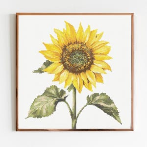 Sunflower Cross Stitch Sewing Modern Embroidery Pattern Instant DMC Download Bunch of Flowers Beginner