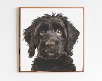 Cockerpoo B Dog Cross Stitch Pattern Sewing Embroidery DMC Wildlife Africa Australia Nursery Artwork Scandi Doggo Minimal Dog Pet Gift