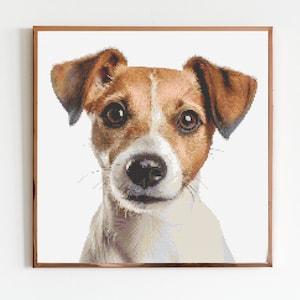 Puede incluir: Un retrato de cerca de un perro Jack Russell Terrier con pelaje marrón y blanco. El perro tiene una expresión curiosa y mira directamente a la cámara.