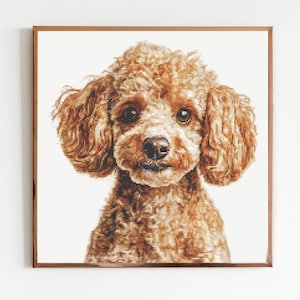 May include: A framed cross-stitch portrait of a brown toy poodle. The dog has curly fur, dark eyes, and a black nose. The artwork is set against a white background and framed in a brown wooden frame. The image is a close-up of the dog's face.