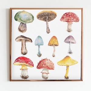 May include: A watercolor painting of 10 different types of mushrooms. The mushrooms are painted in various colors, including red, yellow, green, blue, and purple. The mushrooms are all different shapes and sizes.