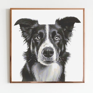 May include: A framed, black and white cross-stitch portrait of a Border Collie dog. The dog has a black coat with white markings on its face and chest. The artwork is displayed in a brown wooden frame, creating a classic and timeless piece of art.