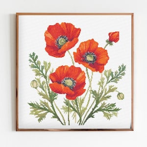 Botanische klaproos kruissteek naaien modern borduurpatroon Instant DMC download bos bloemen beginner klaproos A