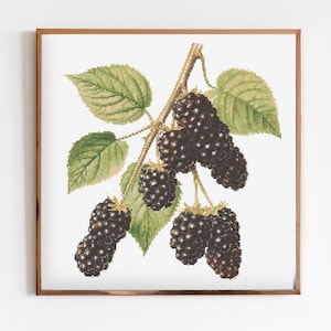Brombeeren Zweig Blumen Kreuzstich Nähen Modernes Stickmuster DMC Download Blumenstrauß Anfänger