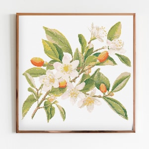 Botanische Orange Blüte Kreuzstich Nähen Moderne Stickerei Muster DMC Download Blumenstrauß Anfänger