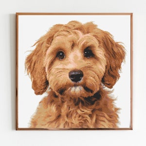 May include: A close-up portrait of a brown and white dog with curly fur. The dog is looking directly at the camera with a sweet expression.