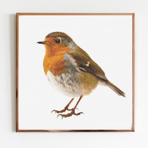 Rotkehlchen Kreuzstich Stickmuster DMC Download Vogel Bauernhof Wald Gartenvögel Rot Kardinal Weihnachten Kindergarten Geschenk