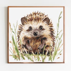 May include: A cute brown and white hedgehog with a friendly face is standing in a patch of green grass.
