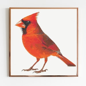 Red Cardinal Cross Stitch Sewing Embroidery Pattern Instant DMC Download Bird Farmyard Woodland Garden Birds Red