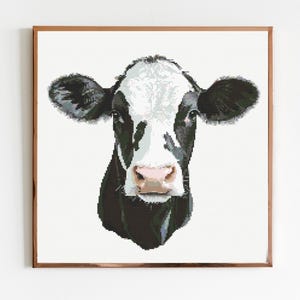 May include: A close-up of a black and white cow's head. The cow is looking directly at the camera with a gentle expression. The background is white.
