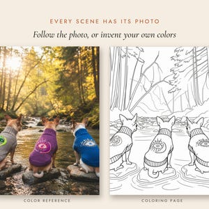 May include: A side-by-side comparison featuring a color photograph and a black-and-white line art coloring page. The image displays three dogs wearing sweaters with eye motifs, standing on rocks in a stream. Text reads: EVERY SCENE HAS ITS PHOTO. Follow the photo, or invent your own colors. COLOR REFERENCE. COLORING PAGE.