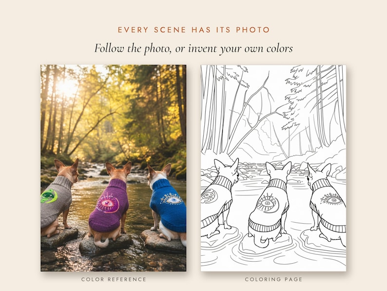 May include: A side-by-side comparison featuring a color photograph and a black-and-white line art coloring page. The image displays three dogs wearing sweaters with eye motifs, standing on rocks in a stream. Text reads: EVERY SCENE HAS ITS PHOTO. Follow the photo, or invent your own colors. COLOR REFERENCE. COLORING PAGE.