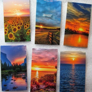 May include: Six different sunset images with a variety of landscapes. The first image shows a field of sunflowers with a sunset in the background. The second image shows a field with a fence and a sunset in the background. The third image shows a lake with a sunset in the background. The fourth image shows a river with a sunset in the background. The fifth image shows a beach with a sunset in the background. The sixth image shows a body of water with a sunset in the background.