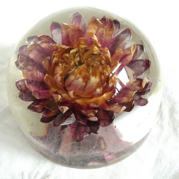 Floral Paperweight Etsy