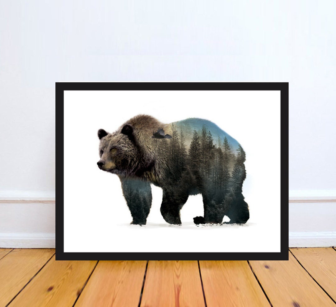 The Grizzly Bear Print Bear Picture Animal Bear Prints - Etsy