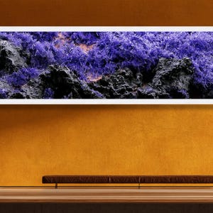 Op de afbeelding: Een panoramisch rechthoekig wandkunstwerk met een contrastrijk landschap van grillige, donker antracietkleurige vulkanische rotsformaties, afgewisseld met levendige, dichte clusters van helderpaarse kristallijne vegetatie.
