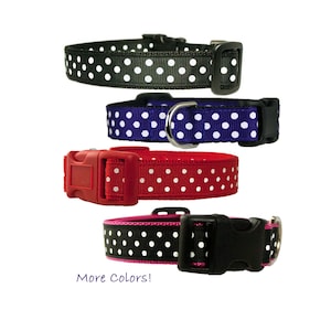 Collier pour chien 5/8&quot; ou 3/4&quot; à pois