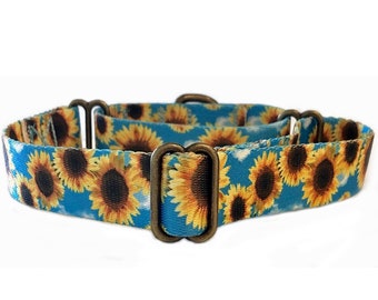 Floral 1" Martingale Dog Collar or Buckle Collar | Weather Resistant Collar | Spring All Webbing Dog Collar
